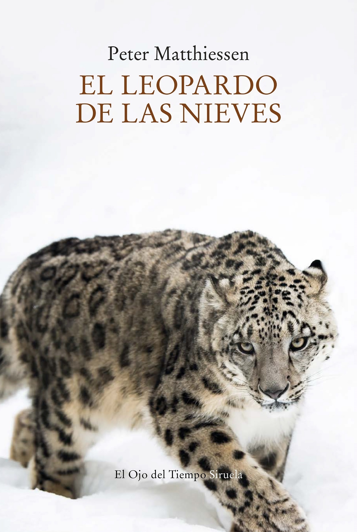 Leopardo de las nieves, El. 