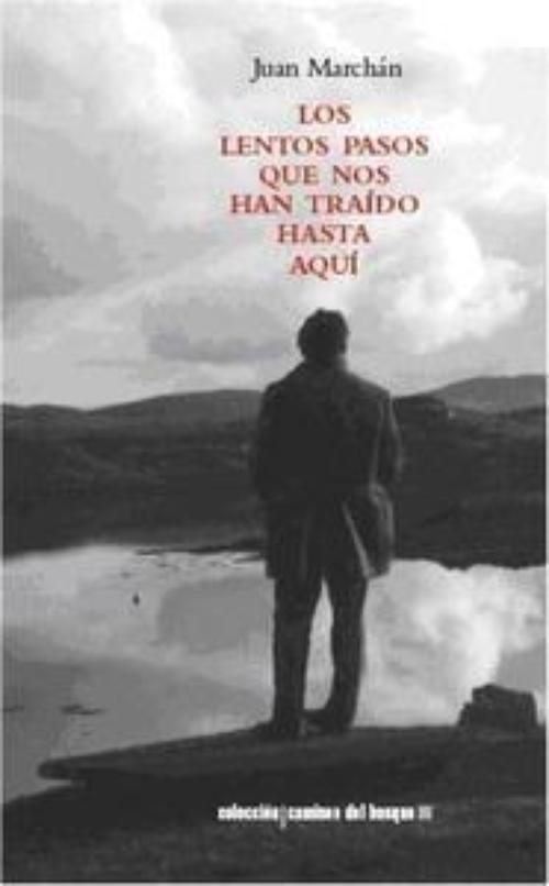 Lentos pasos que nos han traído hasta aquí, Los