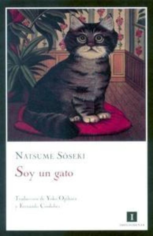 Soy un gato.