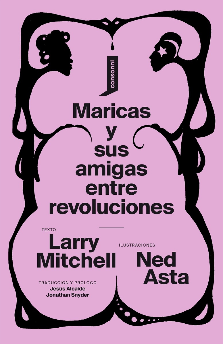 Maricas y sus amigas entre revoluciones. 