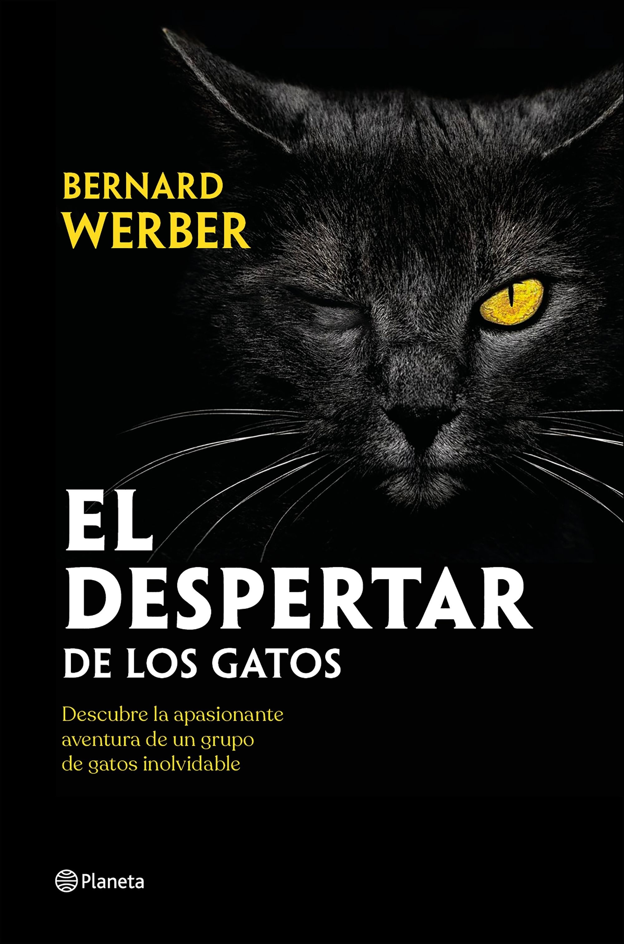 Despertar de los gatos, El