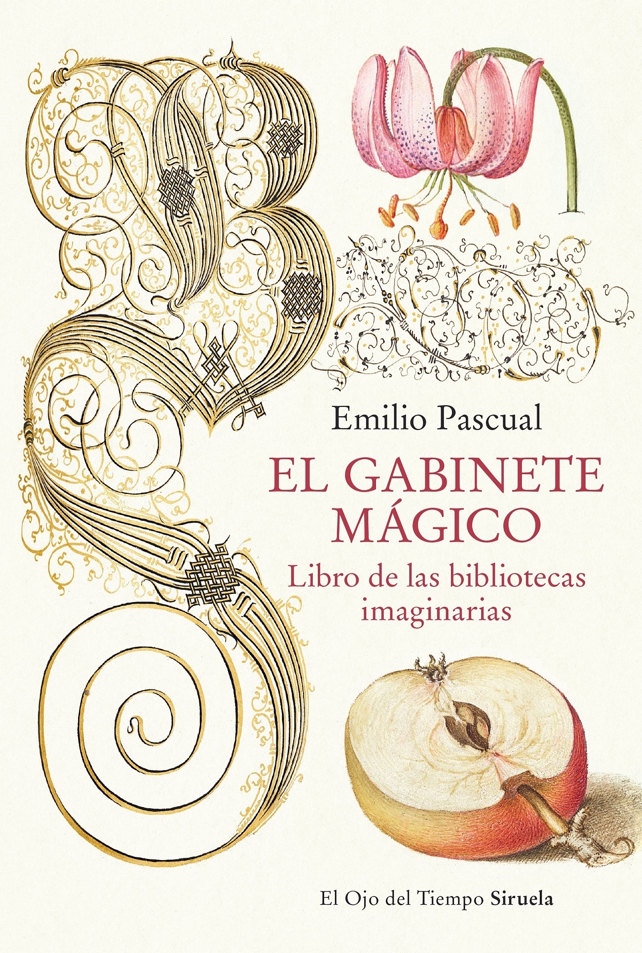 Gabinete magico, El "Libro de las bibliotecas imaginarias". 