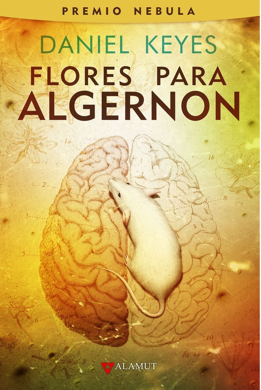 Flores para Algernon. 