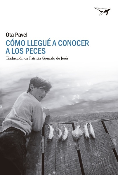 Cómo llegué a conocer a los peces