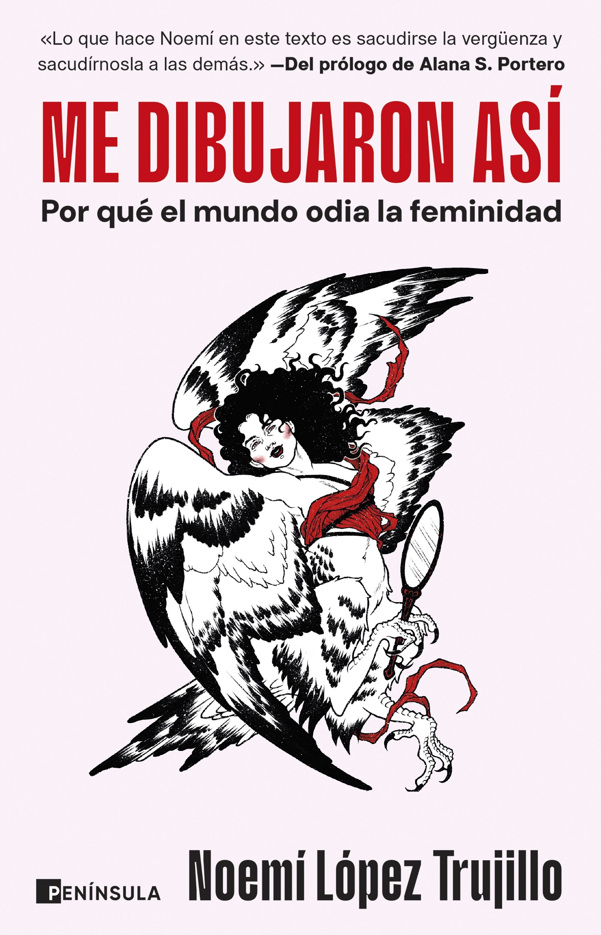 Me dibujaron así 'Por qué el mundo odia la feminidad'