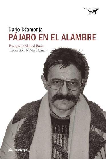 Pájaro en el alambre