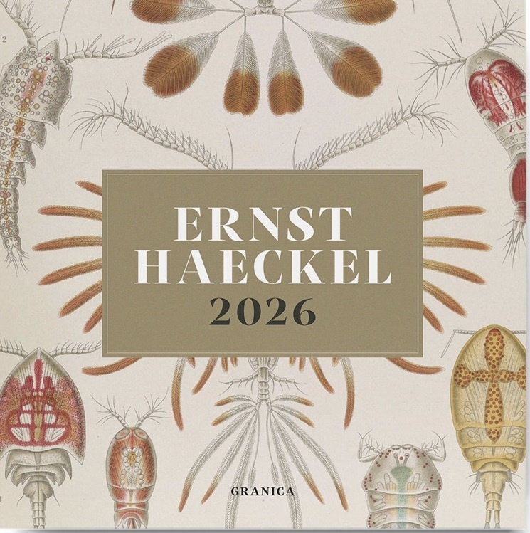Calendario 2026 Ernst Haeckel de pared