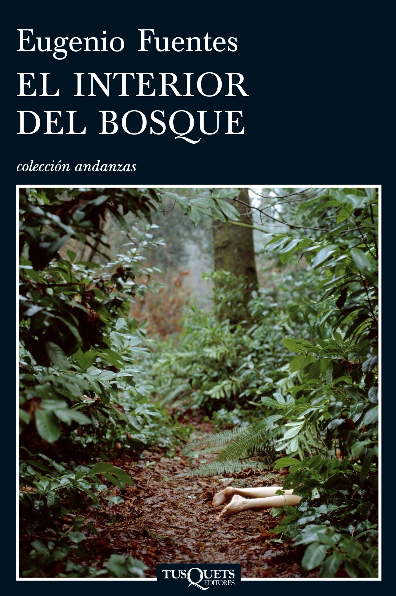 Interior del bosque, El