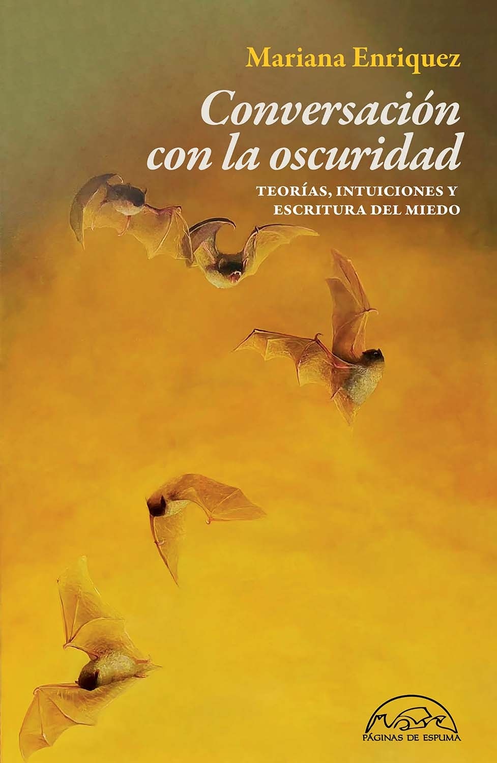 Conversación con la oscuridad 'Teorías, intuiciones y escritura del miedo'